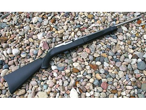 Take down. Мелкашка Ruger 10/22. Ruger 22lr Tactical. Рюгер 10/22 Тактикал. Приклад Ruger 10/22.